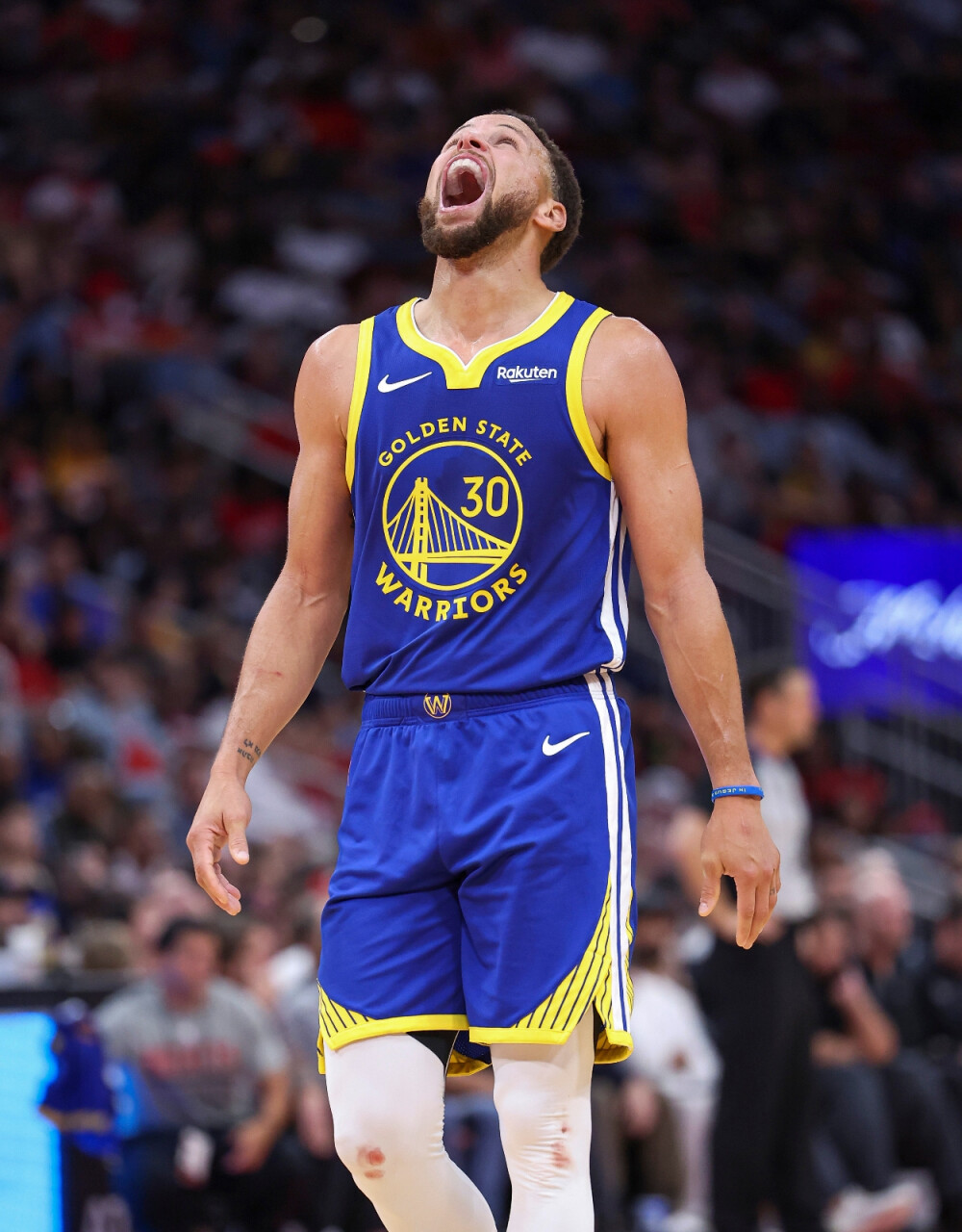 部特有的 部特有的