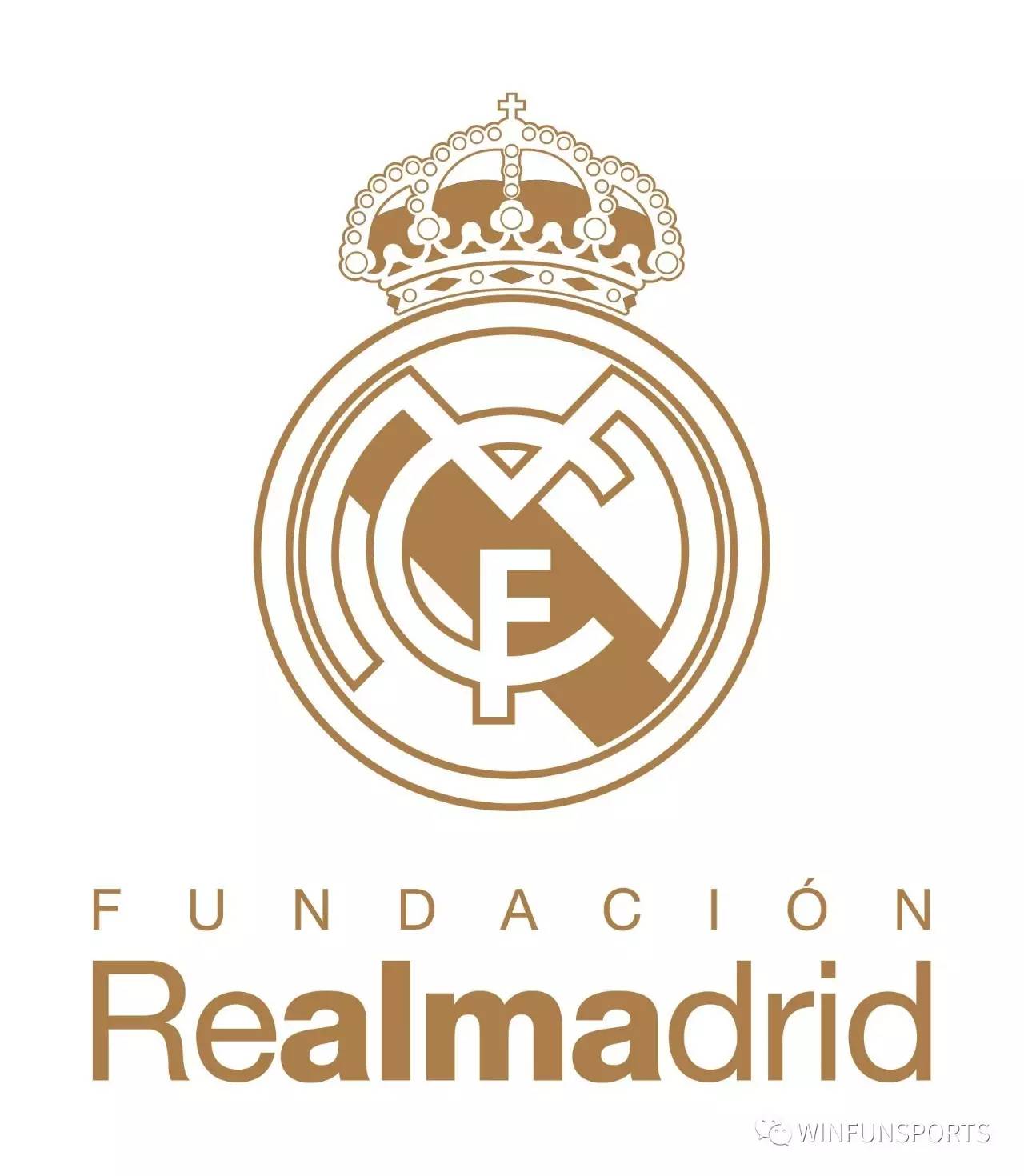 在戴维斯杯 在戴维斯杯