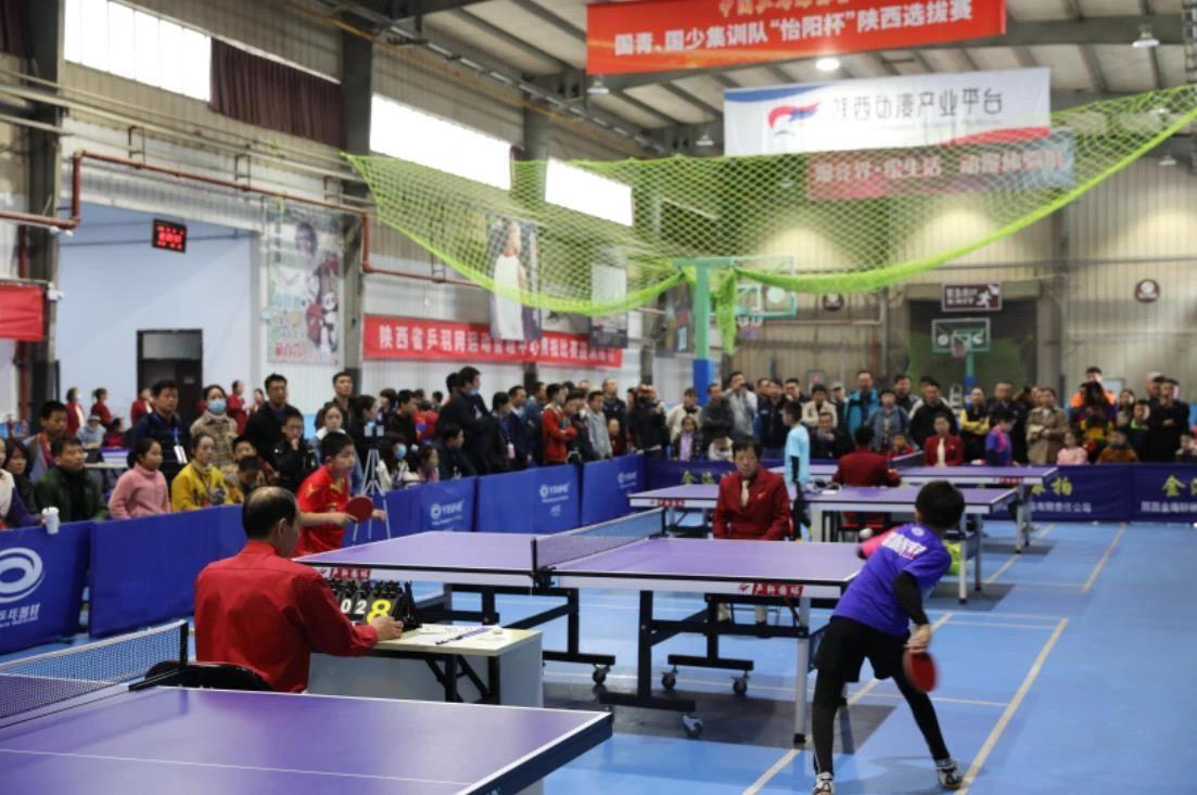 张本美和的 张本美和的